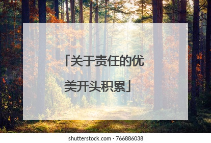 关于责任的优美开头积累