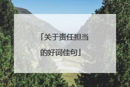 关于责任担当的好词佳句