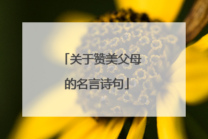 关于赞美父母的名言诗句