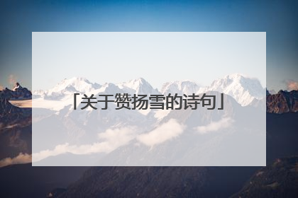 关于赞扬雪的诗句