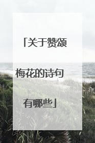 关于赞颂梅花的诗句有哪些