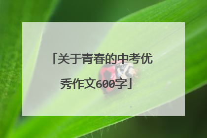 关于青春的中考优秀作文600字