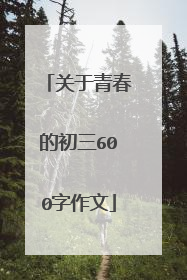 关于青春的初三600字作文