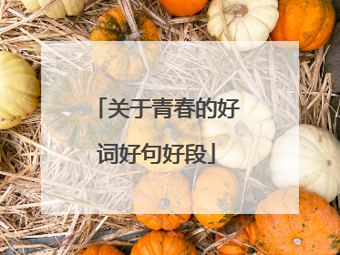关于青春的好词好句好段