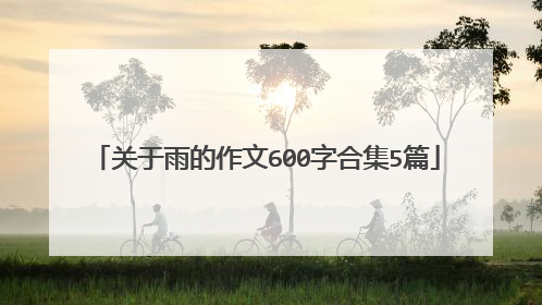 关于雨的作文600字合集5篇