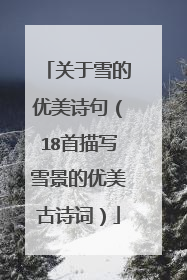 关于雪的优美诗句（18首描写雪景的优美古诗词）