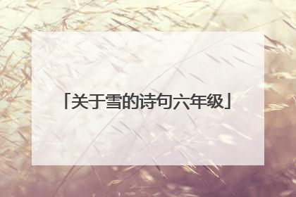 关于雪的诗句六年级