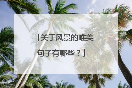 关于风景的唯美句子有哪些？