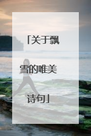 关于飘雪的唯美诗句