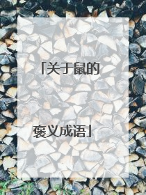 关于鼠的褒义成语