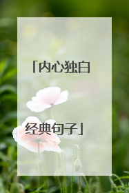 内心独白经典句子