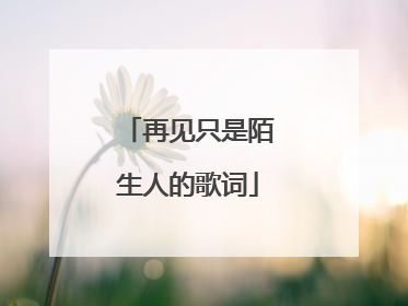 再见只是陌生人的歌词