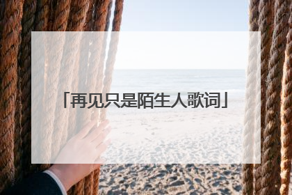 再见只是陌生人歌词