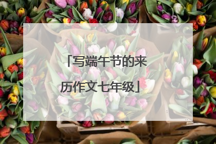 写端午节的来历作文七年级