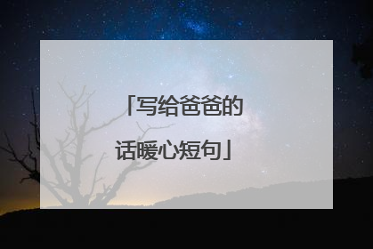 写给爸爸的话暖心短句