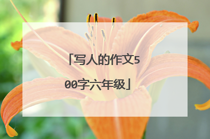 写人的作文500字六年级