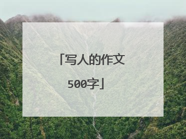 写人的作文500字