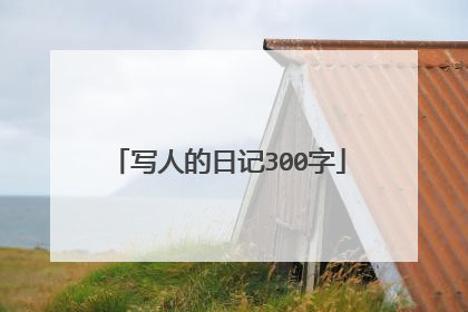 写人的日记300字