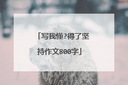 写我懂?得了坚持作文800字