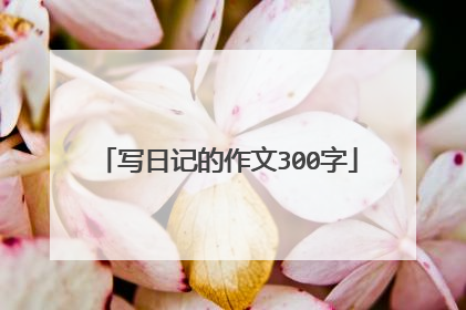 写日记的作文300字