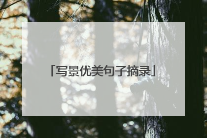 写景优美句子摘录