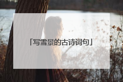 写雪景的古诗词句