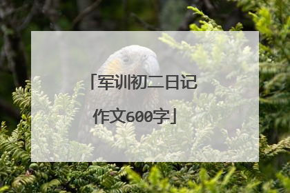 军训初二日记作文600字