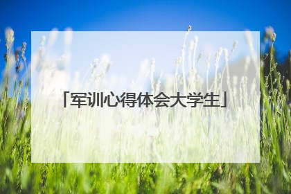 军训心得体会大学生