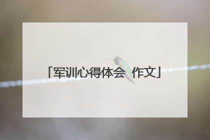 军训心得体会 作文