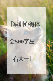 军训心得体会500字左右大一