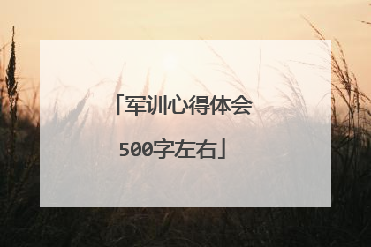 军训心得体会500字左右