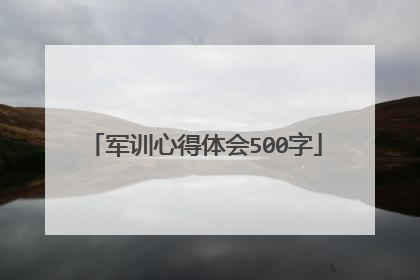 军训心得体会500字