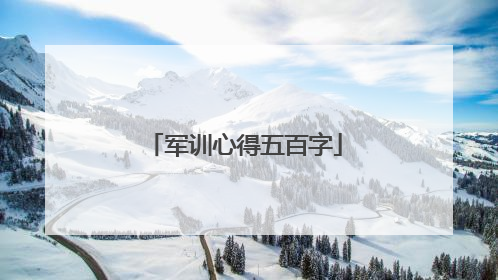军训心得五百字