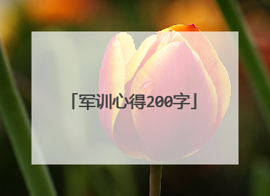 军训心得200字