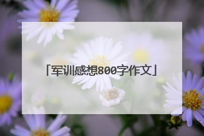 军训感想800字作文