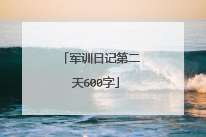军训日记第二天600字