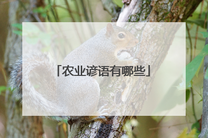 农业谚语有哪些