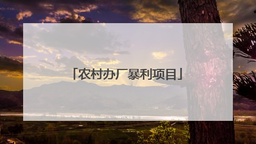 农村办厂暴利项目