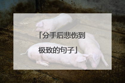 分手后悲伤到极致的句子