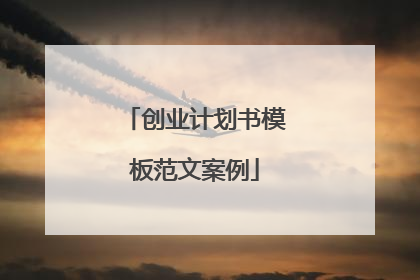 创业计划书模板范文案例