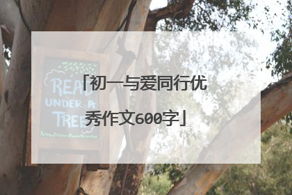 初一与爱同行优秀作文600字