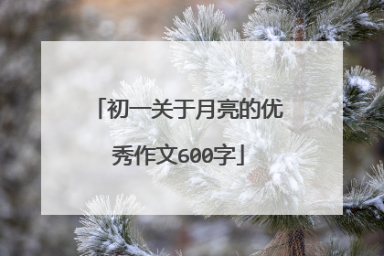 初一关于月亮的优秀作文600字