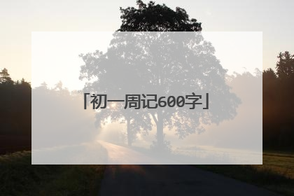 初一周记600字