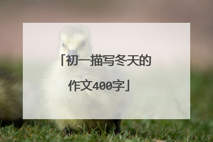 初一描写冬天的作文400字