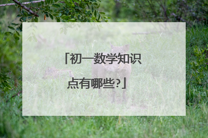 初一数学知识点有哪些?