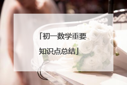 初一数学重要知识点总结