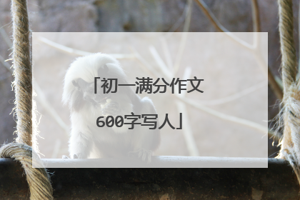 初一满分作文600字写人