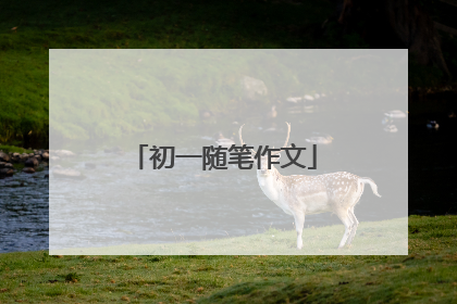 初一随笔作文