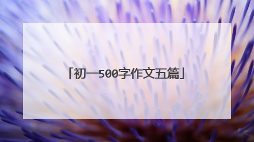 初一500字作文五篇