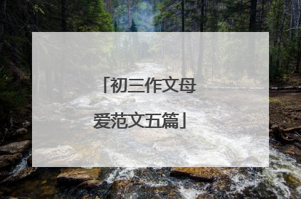 初三作文母爱范文五篇